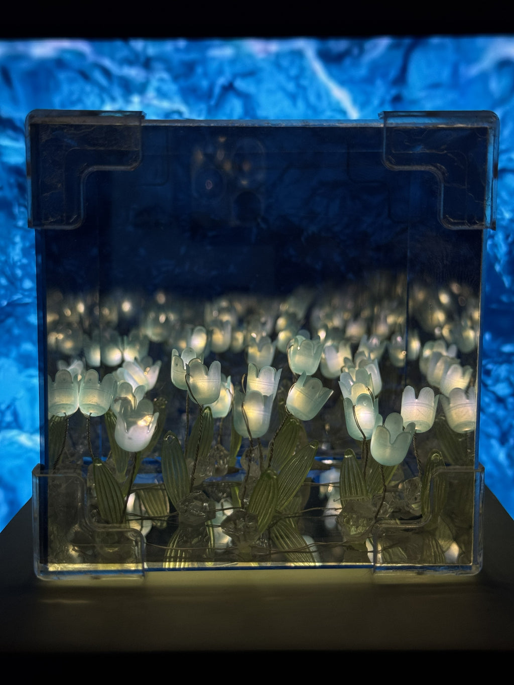 Tulip Infinity Mirror Cube
