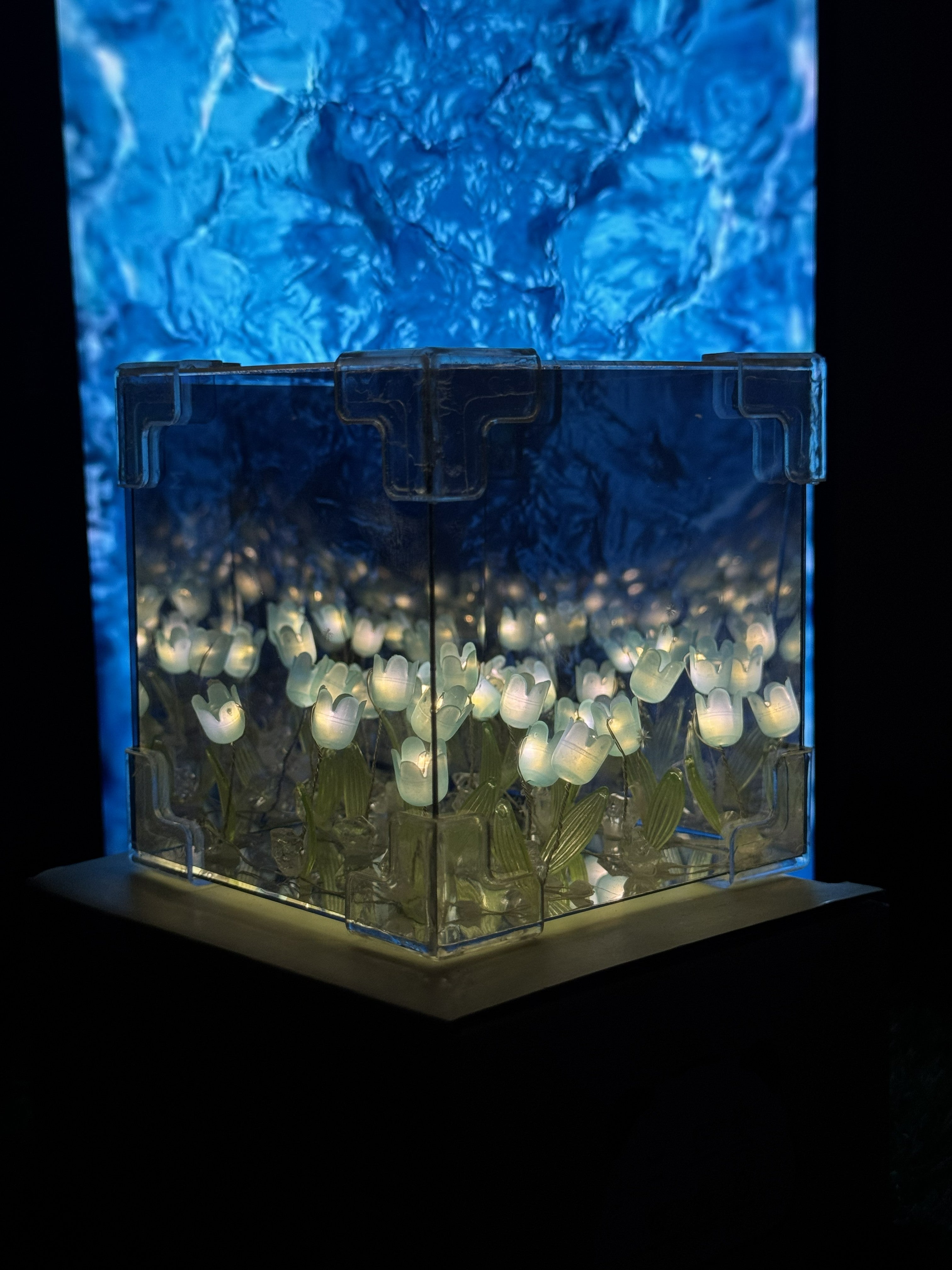 Tulip Infinity Mirror Cube