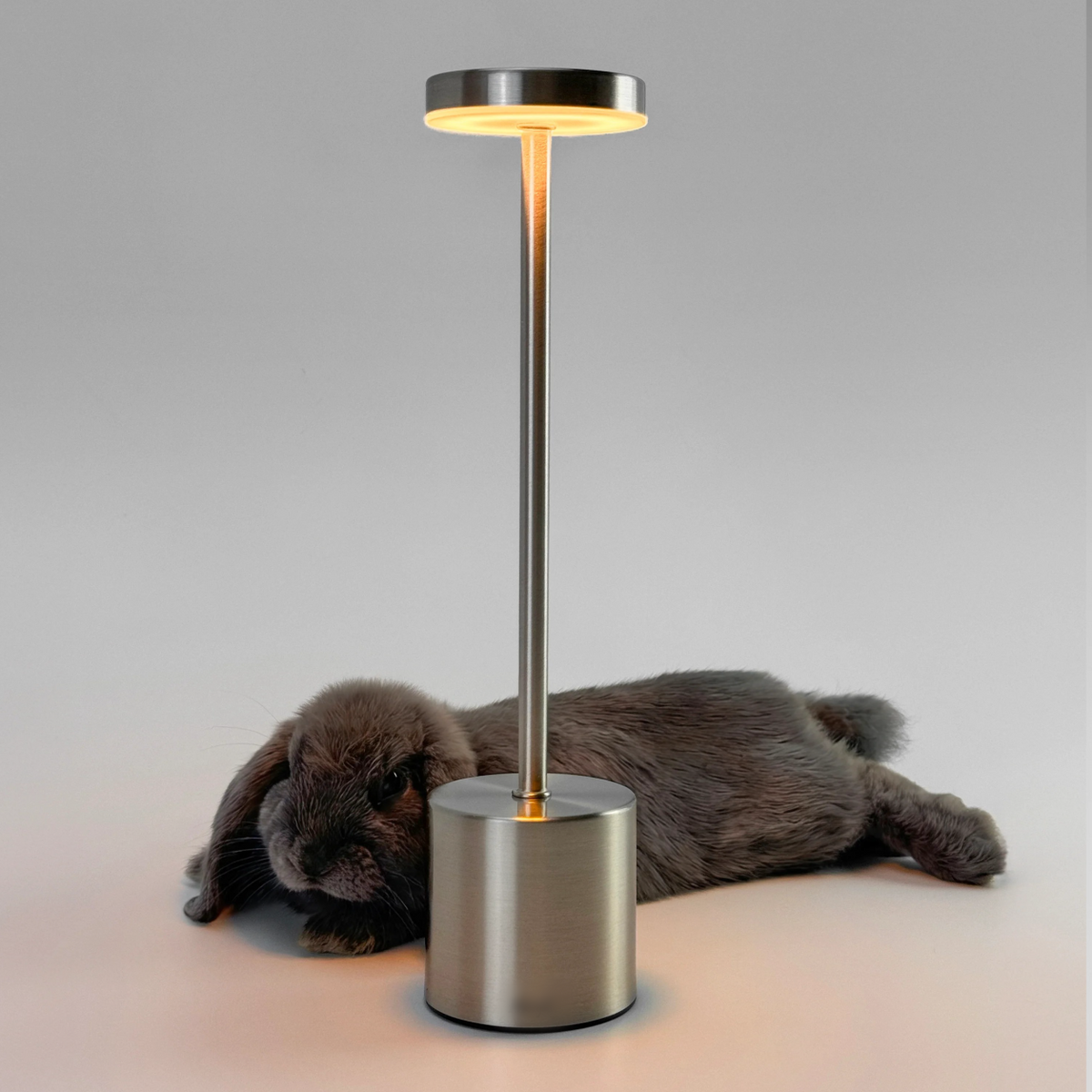 Timeless Lamp – Touch-Control LED Table Lamp